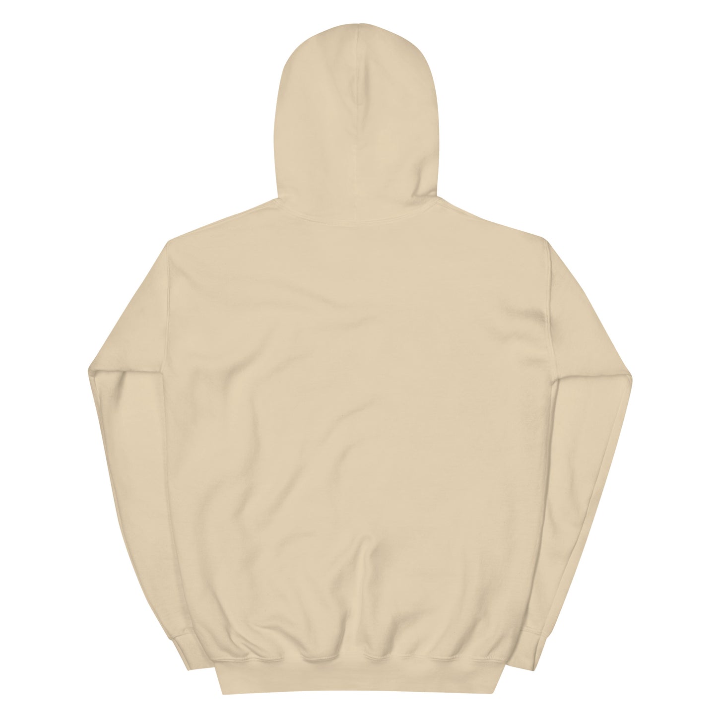 Sober Train Hoodie